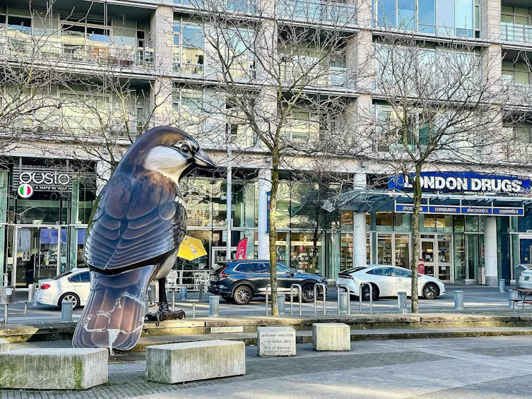 1208-159 W 2nd Avenue, Vancouver, BC, V5Y 0L8 - 31