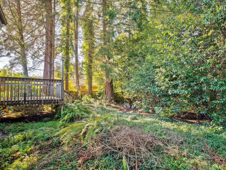 4169 Lions Avenue, North Vancouver, BC, V7R 3S2 - 36