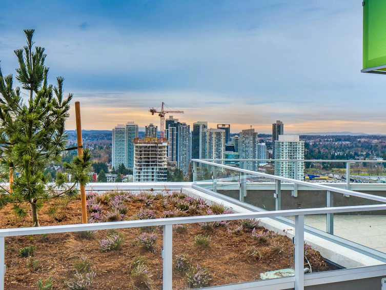 1401-10428 Whalley Boulevard, Surrey, BC, V3T 1W6 - 24