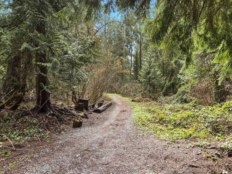 2620 Coast Meridian Road, Port Coquitlam, BC, V3B 3M3 - 38