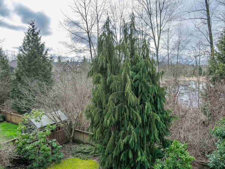 9401 Waska Street, Langley, BC, V1M 4G3 - 24