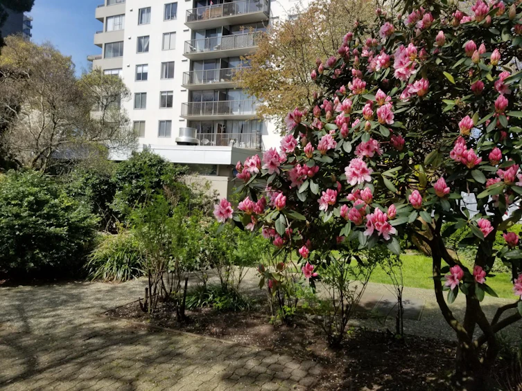 2205-1251 Cardero Street, Vancouver, BC, V6G 2H9 - 31