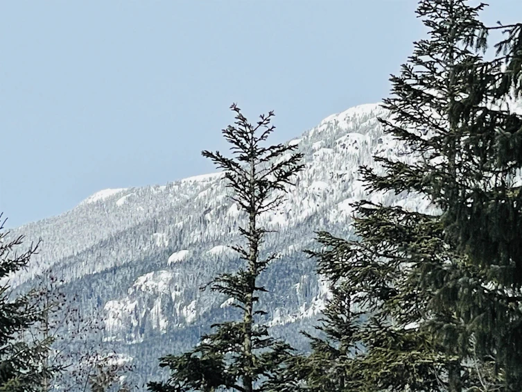 4-4890 Painted Cliff Road, Whistler, BC, V8E 1C9 - 22