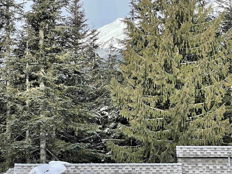 4-4890 Painted Cliff Road, Whistler, BC, V8E 1C9 - 24