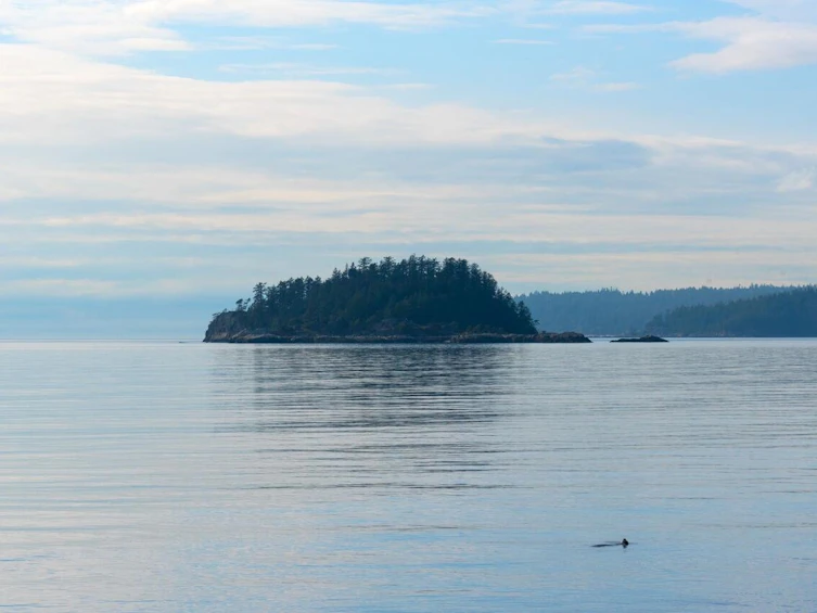 908 Clipper Place, Bowen Island, BC, V0N 1G2 - 18