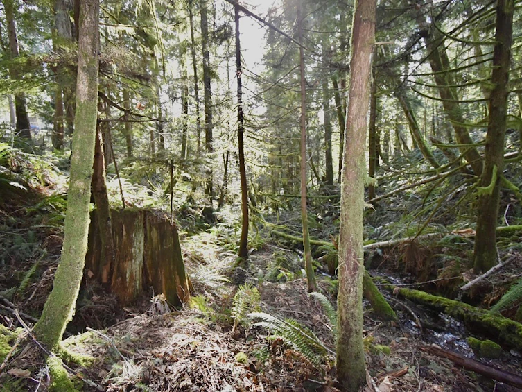 7553 Todd Road, Sechelt, BC, V7Z 0C6 - 37