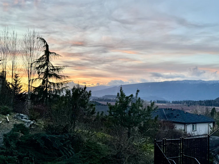 13631 228 Street, Maple Ridge, BC, V4R 0B5 - 40