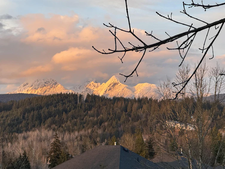 13631 228 Street, Maple Ridge, BC, V4R 0B5 - 38