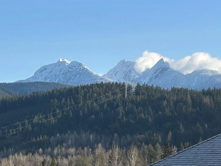 13631 228 Street, Maple Ridge, BC, V4R 0B5 - 8