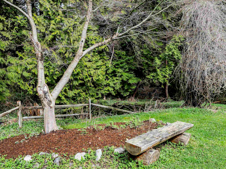 31920 Olson Avenue, Mission, BC, V4S 1E8 - 29
