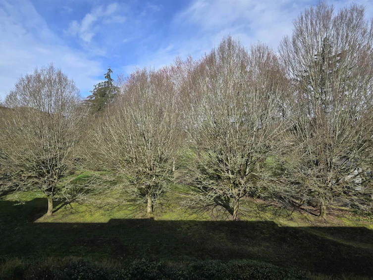 201-6651 Lynas Lane, Richmond, BC, V7C 3K8 - 11
