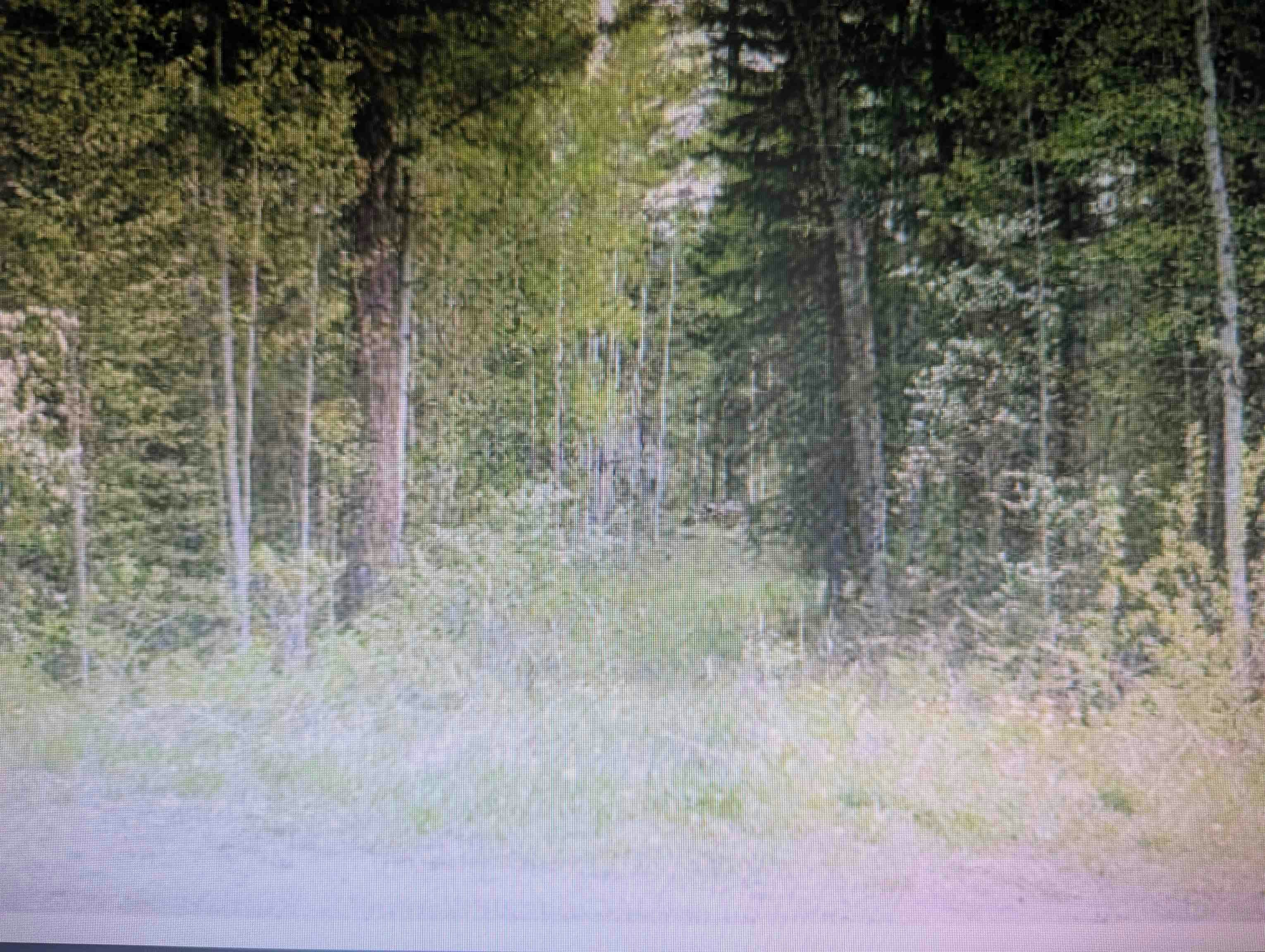 LOT 24 Kokanee Road, Canim Lake, BC, V0K 1J0