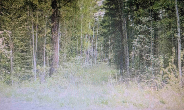 LOT 24 Kokanee Road