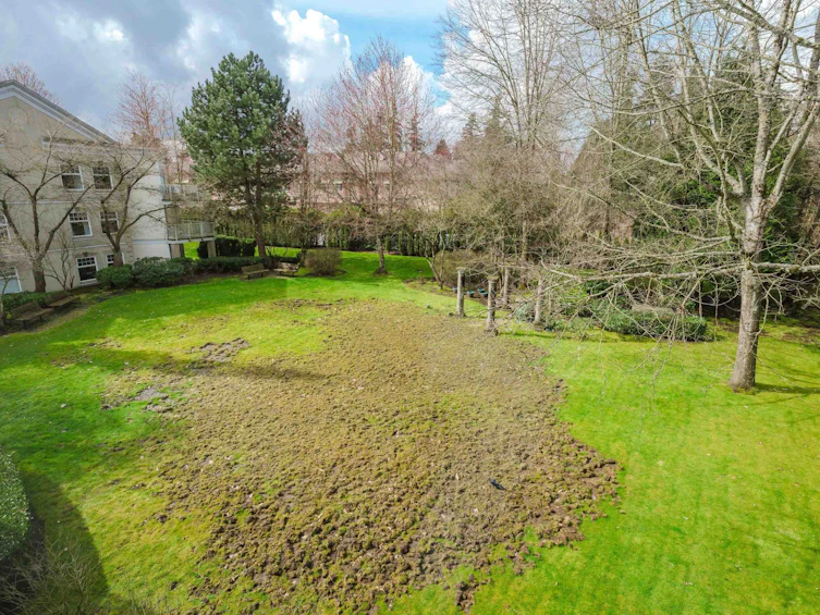 303-16085 83rd Avenue, Surrey, BC, V4N 0N2 - 17