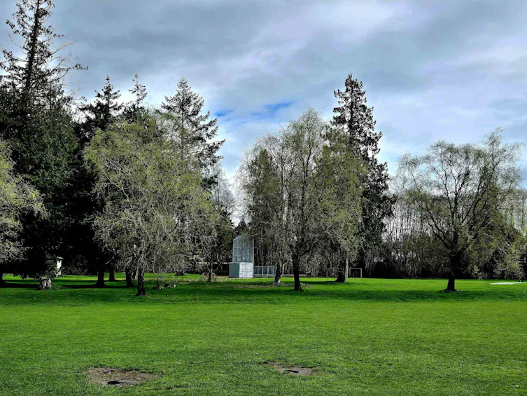 7170 124a Street, Surrey, BC, V3W 0P7 - 19