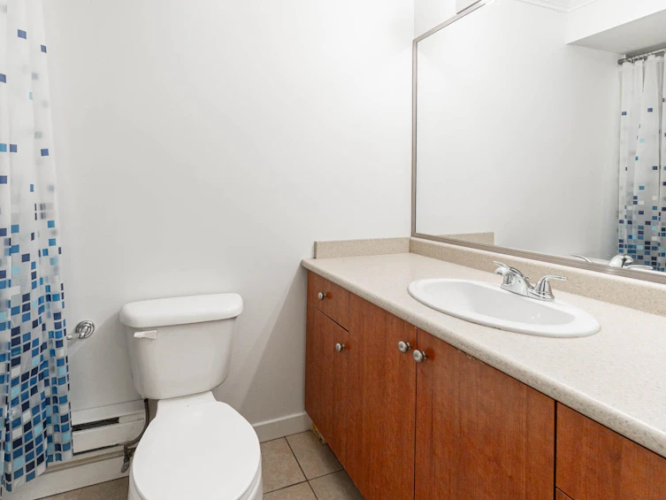 8259 211 Street, Langley, BC, V2Y 0E4 - 36