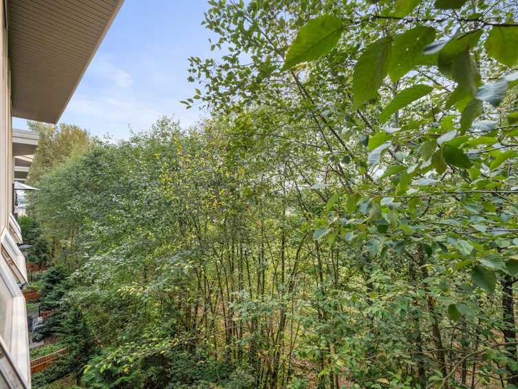 C412-20211 66 Avenue, Langley, BC, V2Y 0L4 - 19