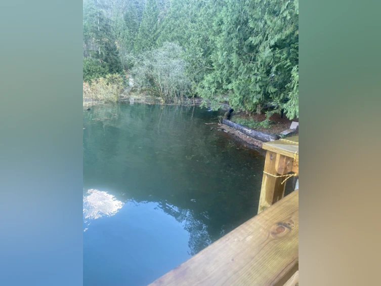 LOT 3 Harrison River, Harrison Hot Springs, BC, V0M 1K0 - 13