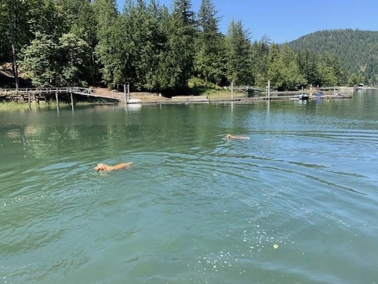 LOT 3 Harrison River, Harrison Hot Springs, BC, V0M 1K0 - 14