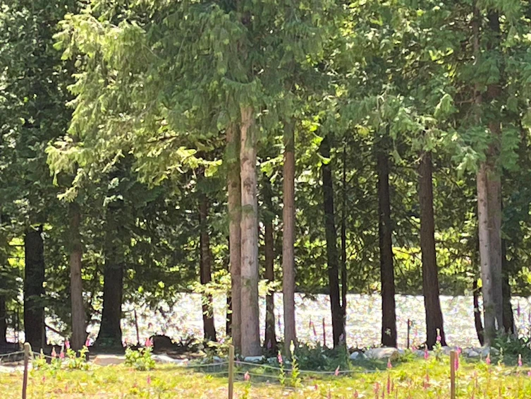 65733 Gardner Drive, Hope, BC, V0X 1L1 - 20