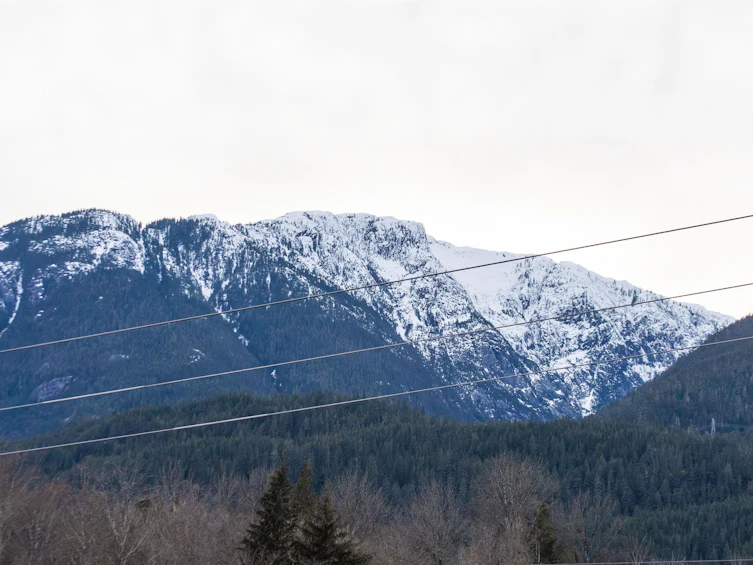 315-1870 Dowad Drive, Squamish, BC, V8B 1C4 - 35