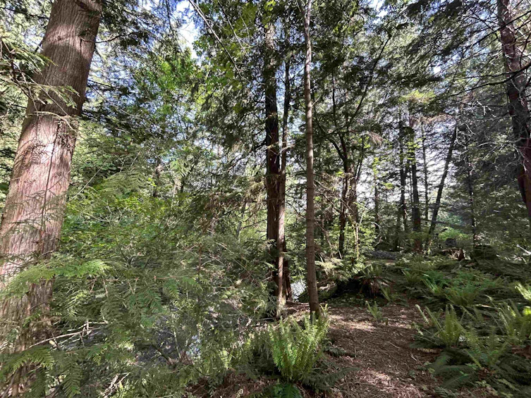 9063 Paradise Valley Road, Squamish, BC, V0N 1T0 - 2