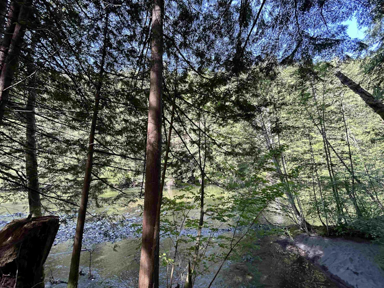 9063 Paradise Valley Road, Squamish, BC, V0N 1T0 - 15