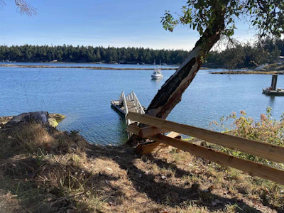 1361 Sturdies Bay Road - 2