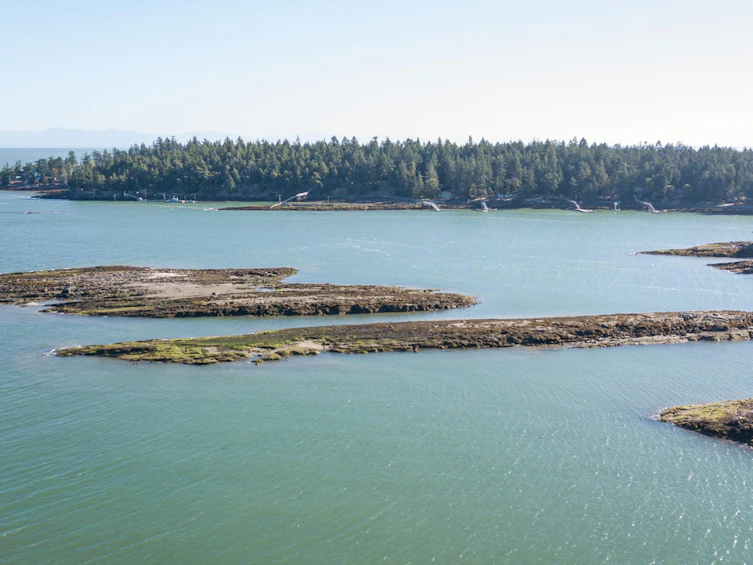 1361 Sturdies Bay Road, Galiano Island, BC, V0N 1P0 - 30