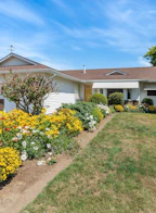 6975 Oakwood Drive