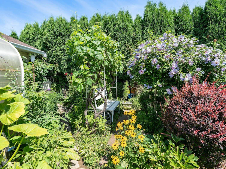 6975 Oakwood Drive, Agassiz, BC, V0M 1A3 - 35