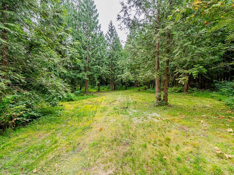 12241 Stave Lake Road, Mission, BC, V2V 0A6 - 27