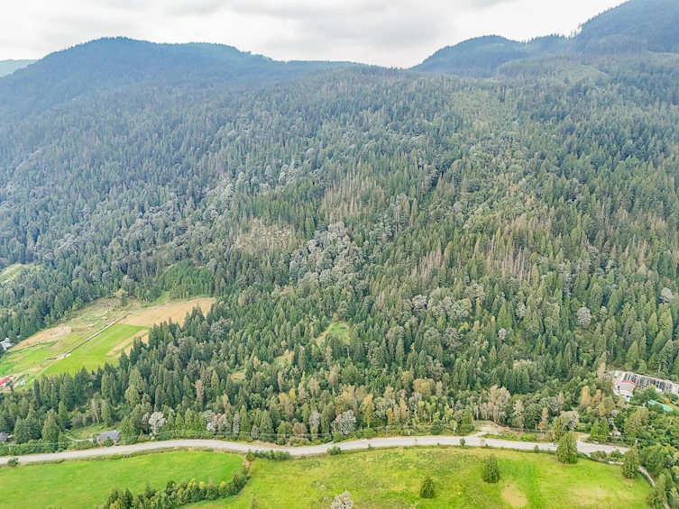 12241 Stave Lake Road, Mission, BC, V2V 0A6 - 2