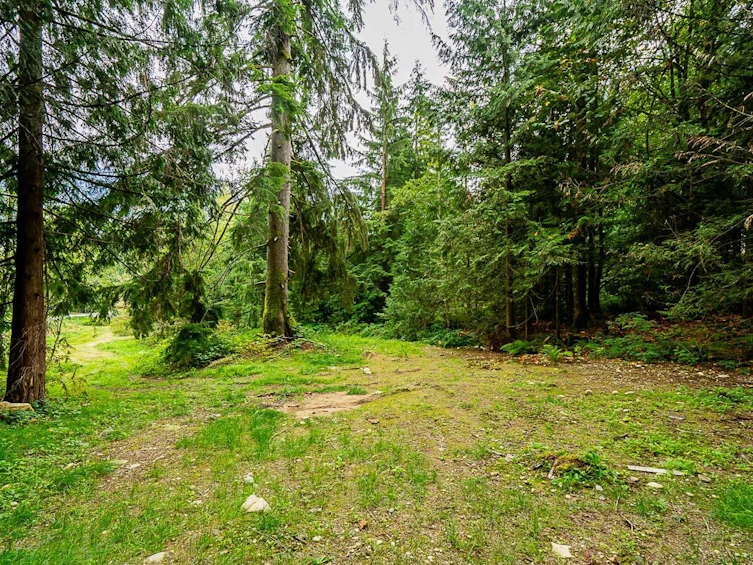 12241 Stave Lake Road, Mission, BC, V2V 0A6 - 30