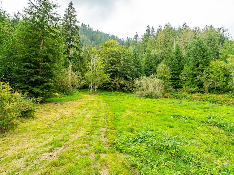 12241 Stave Lake Road, Mission, BC, V2V 0A6 - 25