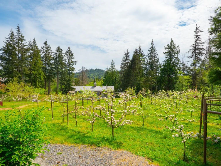 620 Laura Road, Bowen Island, BC, V0N 1G2 - 24