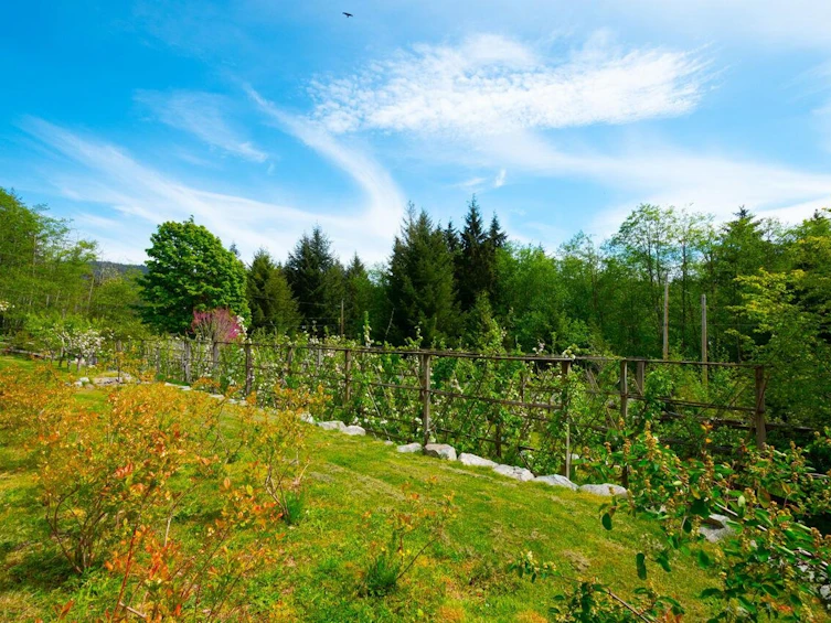 620 Laura Road, Bowen Island, BC, V0N 1G2 - 4