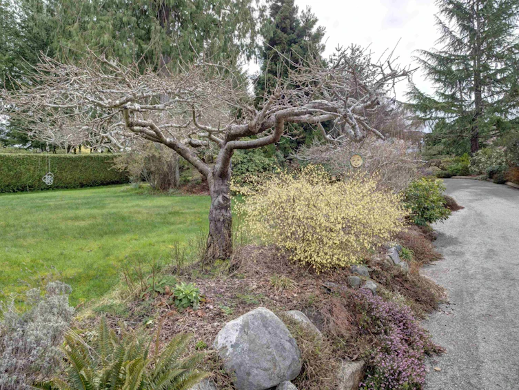 6484 N Gale Avenue, Sechelt, BC, V7Z 0L1 - 36