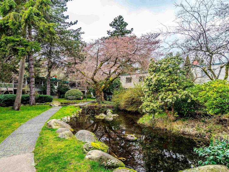 937 Westview Crescent, North Vancouver, BC, V7N 3Y3 - 8