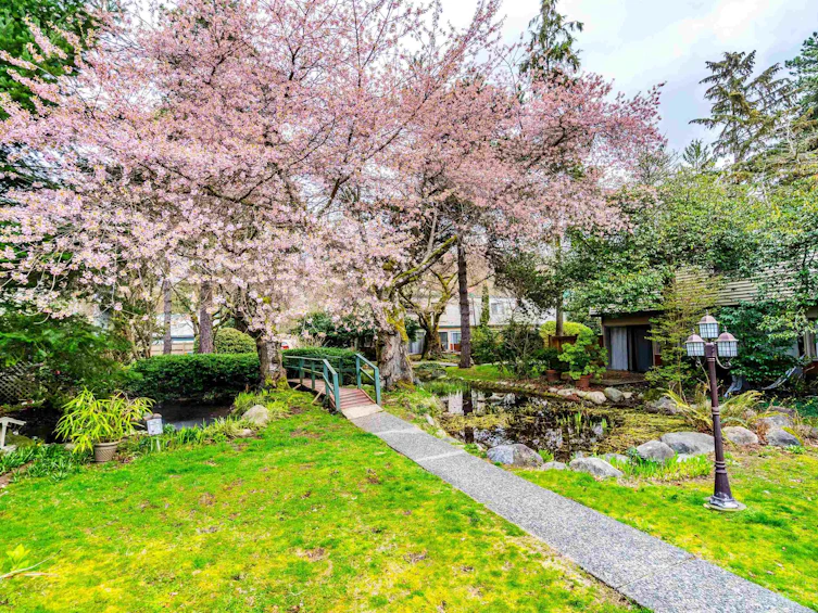 937 Westview Crescent, North Vancouver, BC, V7N 3Y3 - 7