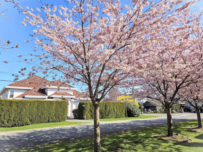 8680 Kilgour Place, Richmond BC V7C 3R1