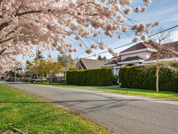 8680 Kilgour Place, Richmond, BC, V7C 3R1 - 33
