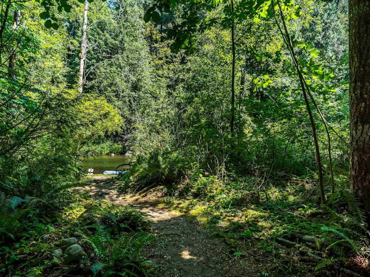 23463 Dogwood Avenue, Maple Ridge, BC, V2X 4S4 - 21