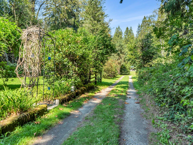 23463 Dogwood Avenue, Maple Ridge, BC, V2X 4S4 - 6