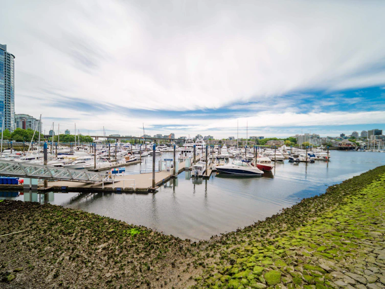 1908-198 Aquarius Mews, Vancouver, BC, V6Z 2Y4 - 26