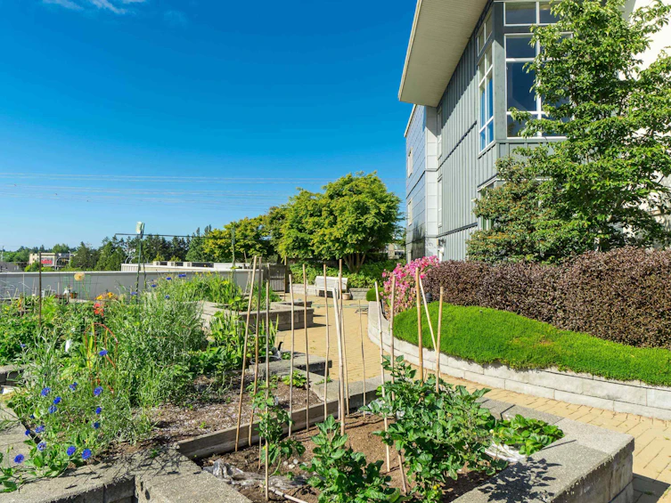221-15850 26 Avenue, Surrey, BC, V3Z 2N6 - 24