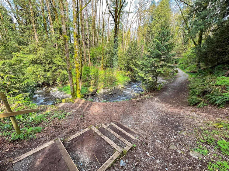 34895 Laburnum Avenue, Abbotsford, BC, V2S 5J3 - 32