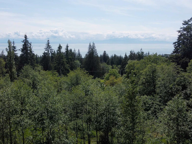 2470 Sunshine Coast Highway, Roberts Creek, BC, V0N 2W5 - 34