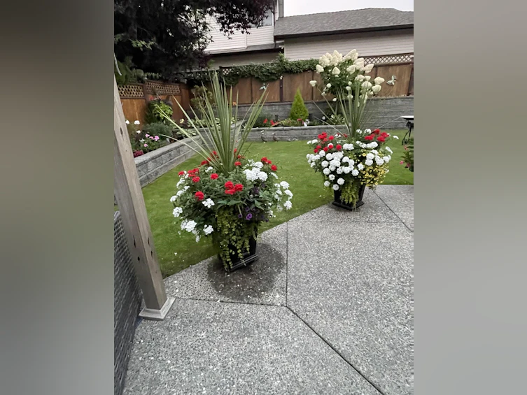 18647 56b Avenue, Surrey, BC, V3S 7N2 - 30