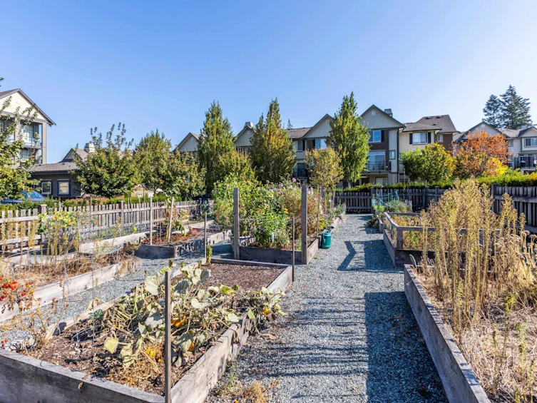 411-2855 156 Street, Surrey, BC, V3Z 3Y3 - 29
